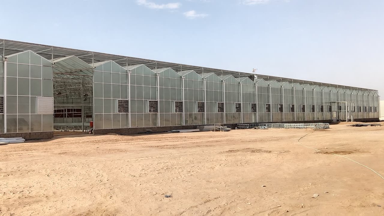 Video: Off-grid greenhouse farm, Riyadh